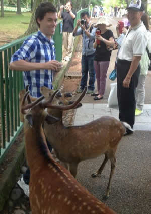 Nara Deer